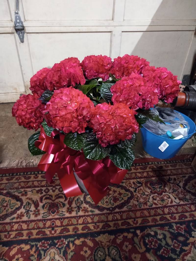 Jasper Florist
